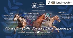 Image post by @australianturfclub on Instagram