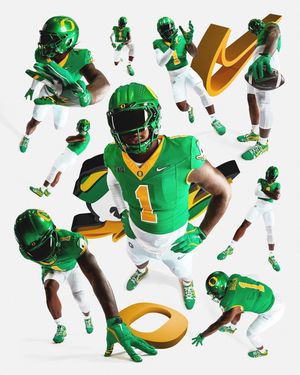 Image post by @goducks on Instagram