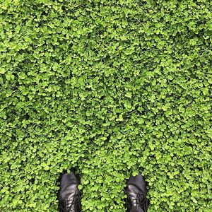Image post by @uchicago on Instagram