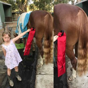 Image post by @flynhighhorsewear on Instagram