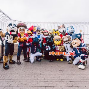 Image post by @rowdymascot on Instagram
