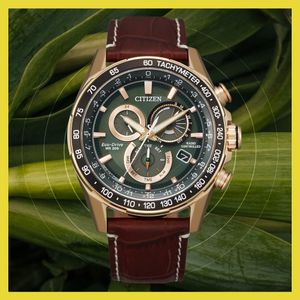 Image post by @citizenwatchus on Instagram