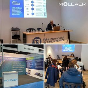 Image post by @moleaer on Instagram