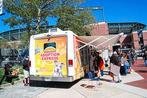 Image post by @OsCommunity on Twitter