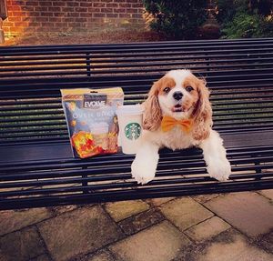 Image post by @evolvepetfood on Instagram