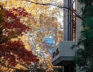 Image post by @hofstrau on Instagram