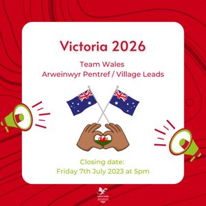 Image post by @team_wales on Instagram