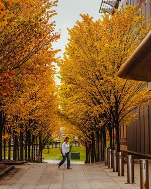 Image post by @marquetteu on Instagram