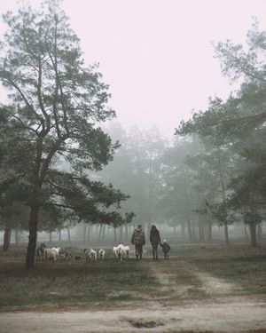Image post by @moment on Instagram