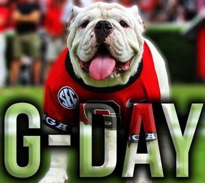 Image post by @dawgnation on Instagram
