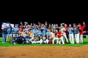 Image post by @thechicagodogs on Instagram