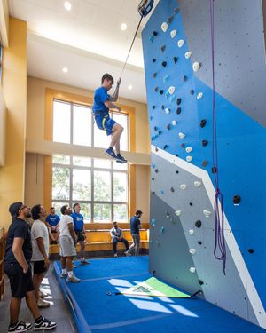 Image post by @utulsa on Instagram