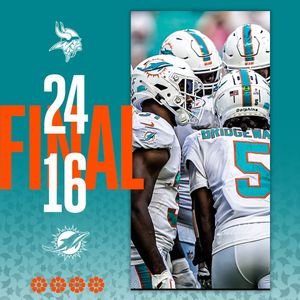 Image post by @dolphins_esp on Instagram