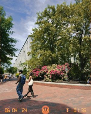 Image post by @northeastern on Instagram