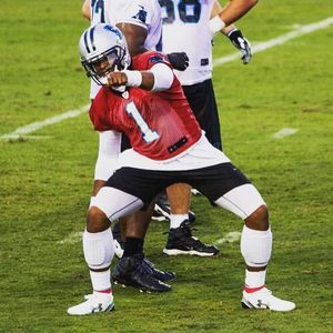 Image post by @roaringriot on Instagram