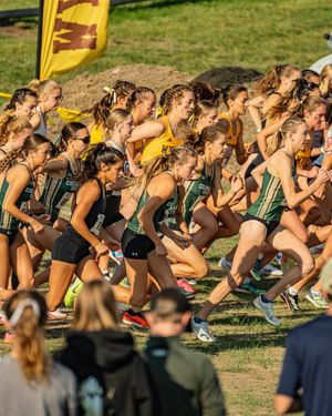 Image post by @csuathletics on Instagram