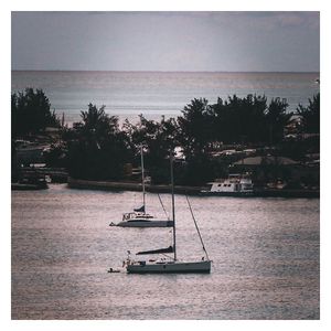 Image post by @joshellenburg on Instagram