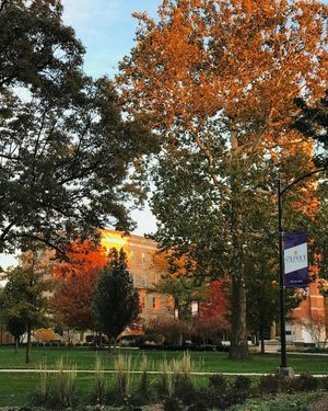 Image post by @olivetnazarene on Instagram