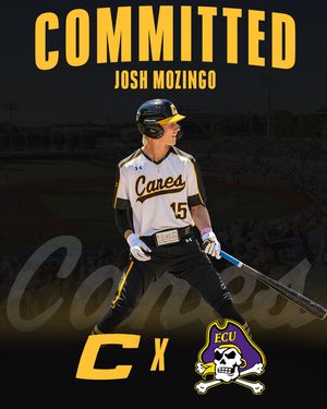 Image post by @thecanesbb on Instagram