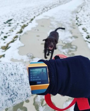 Image post by @fitbit on Instagram