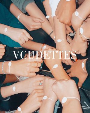 Image post by @varsitycudettes on Instagram
