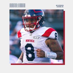 Image post by @mtlalouettes on Instagram