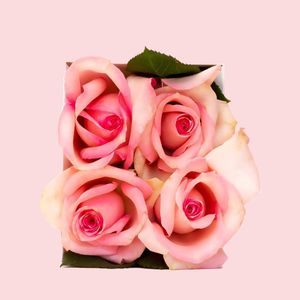 Video post by @HomeOfBud on Facebook