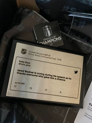 Image post by @katie_gaus on Twitter