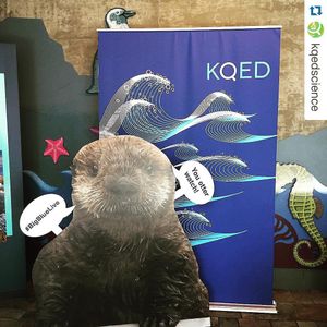 Image post by @kqed on Instagram
