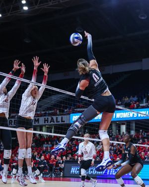 Image post by @GatorsVB on Twitter