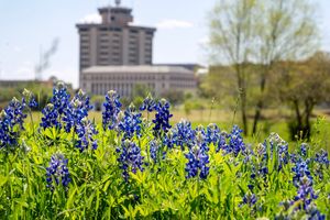 Image post by @tamu on Instagram