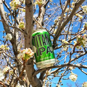 Image post by @greatdividebrew on Instagram