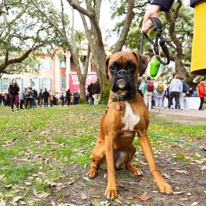 Image post by @collegeofcharleston on Instagram