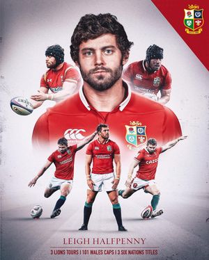 Image post by @britishandirishlions on Instagram