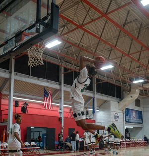 Image post by @bovadawg.visuals on Instagram