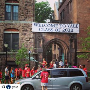 Image post by @yalevolleyball on Instagram