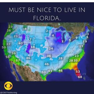 Image post by @fgcu_xc on Instagram