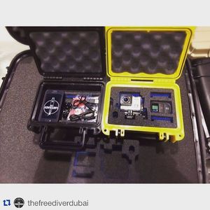 Image post by @seahorsecases on Instagram