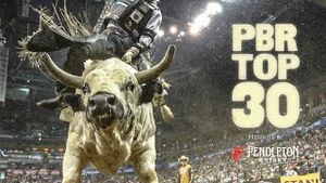 Video post by @pbr on YouTube
