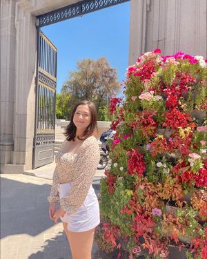 Image post by @ufphimu on Instagram