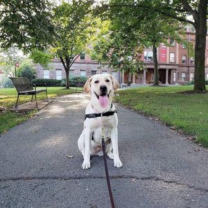 Image post by @rutgersnb on Instagram