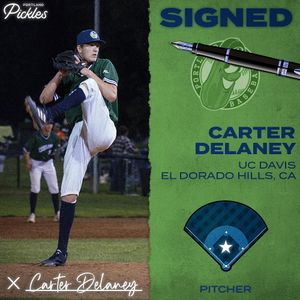 Image post by @picklesbaseball on Instagram