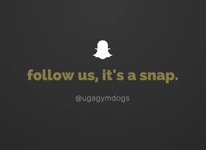 Image post by @ugagymnastics on Instagram