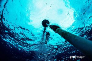 Image post by @gettyimages on Instagram