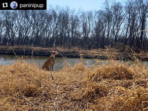 Image post by @fargoparks on Instagram