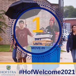 Image post by @hofstrau on Instagram