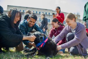 Image post by @evmsedu on Instagram