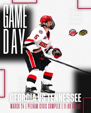 Image post by @UGAHockey on Twitter/X