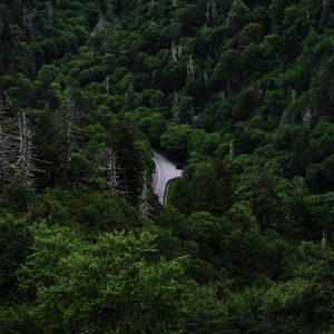 Image post by @alexdebuhrphoto on Instagram