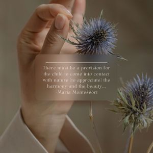 Image post by @mindsproutmontessori on Instagram